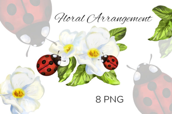 Download Flower Arrangement and Ladybug - Flower arrangement Collection
