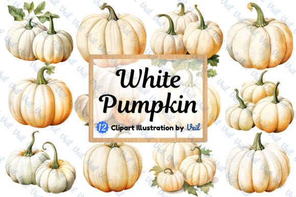 Download White Pumpkin Clipart Watercolor Bundle - Watercolor bundle Collection