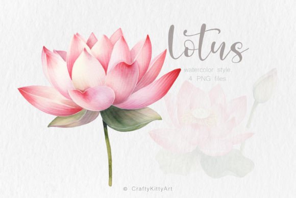 Download Pink Lotus Flower PNG Watercolor Bundle - Watercolor bundle Collection