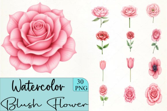 Download Blush Flower Clipart - Premium Resources