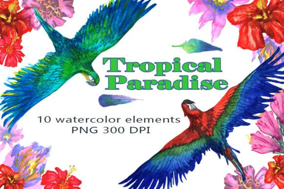 Download Tropical Paradise Watercolor Clipart - Tropical paradise Collection